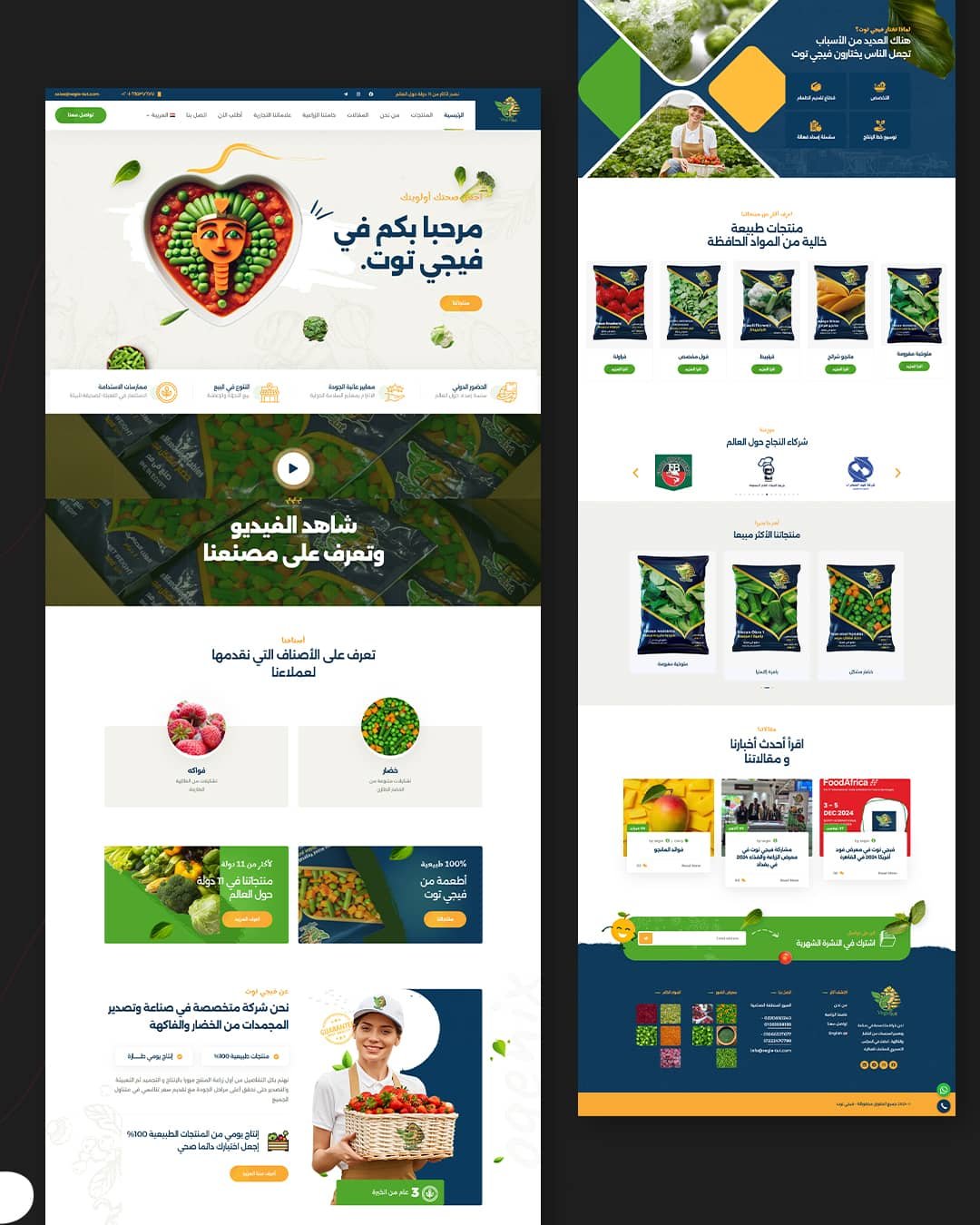 Hosseeny-Main-Carousel---Copy_02