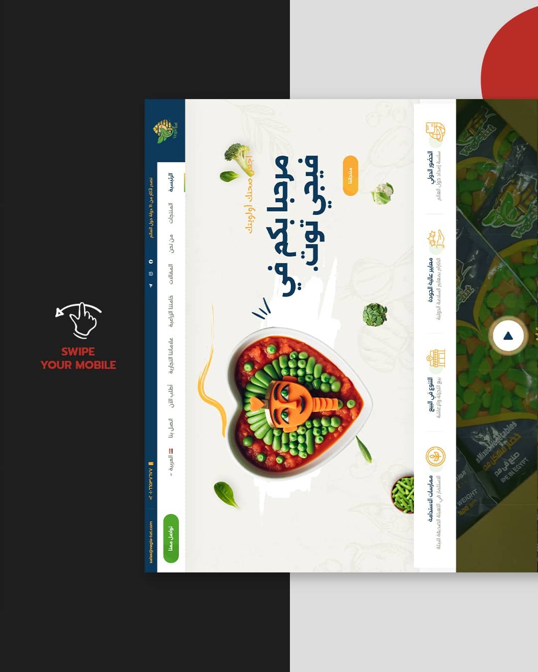 Hosseeny-Main-Carousel---Copy_03