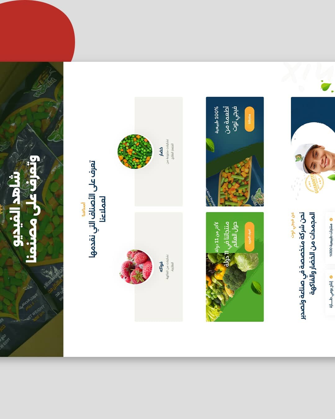 Hosseeny-Main-Carousel---Copy_04