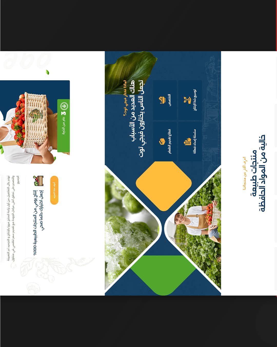 Hosseeny-Main-Carousel---Copy_05